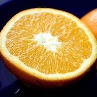 Picture of Kerry Orange Extract – 1 gal